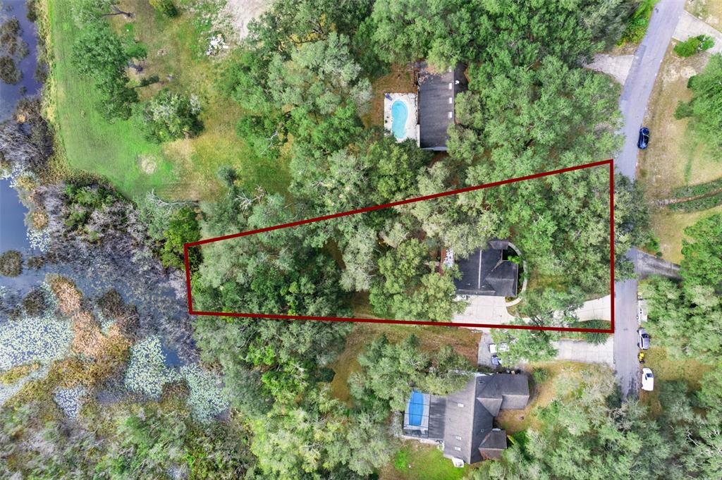 30911 Vista View Mount Dora, FL 32757 - Photo 44 of 54 an aerial view of houses and roads