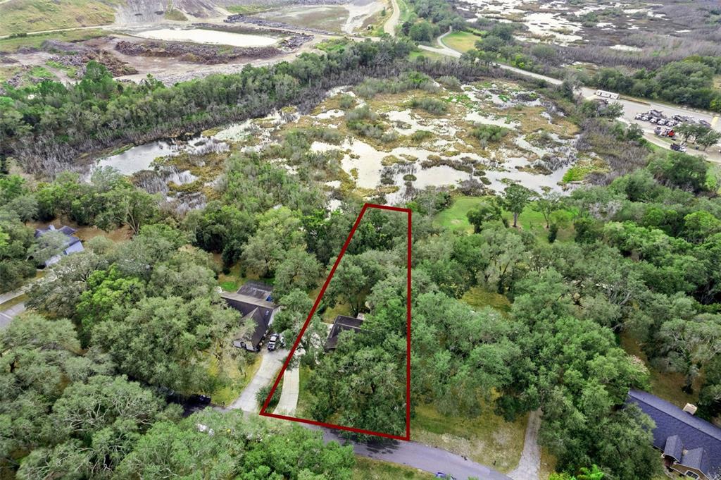 30911 Vista View Mount Dora, FL 32757 - Photo 46 of 54 a view of a yard