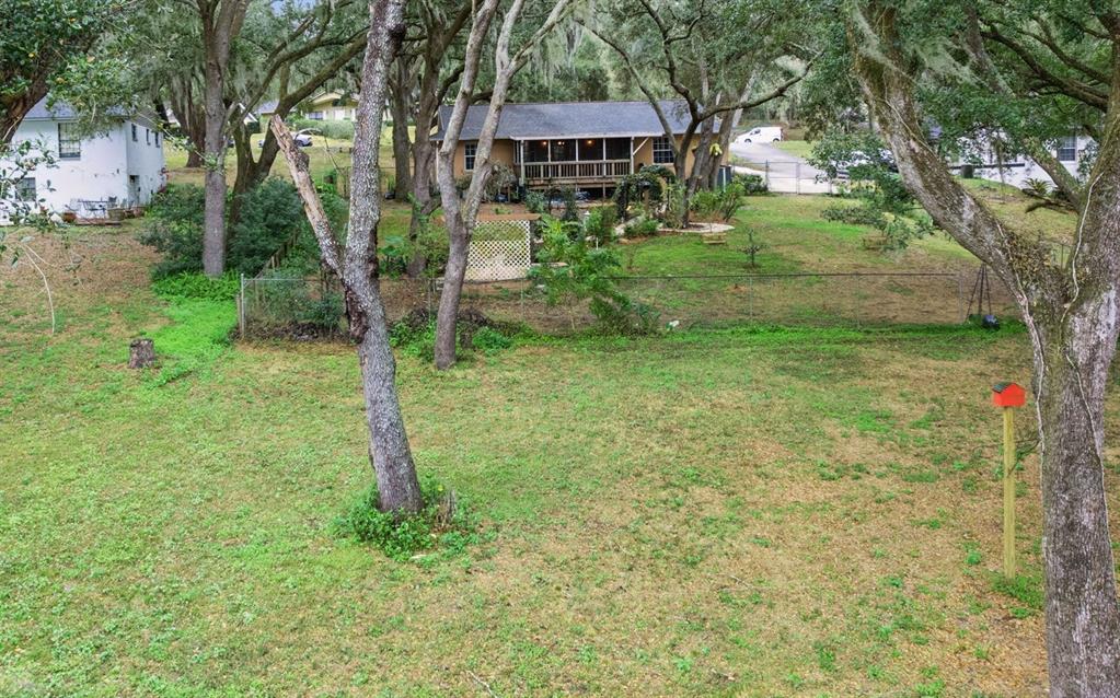 30911 Vista View Mount Dora, FL 32757 - Photo 5 of 54 a backyard of a house with lots of green space