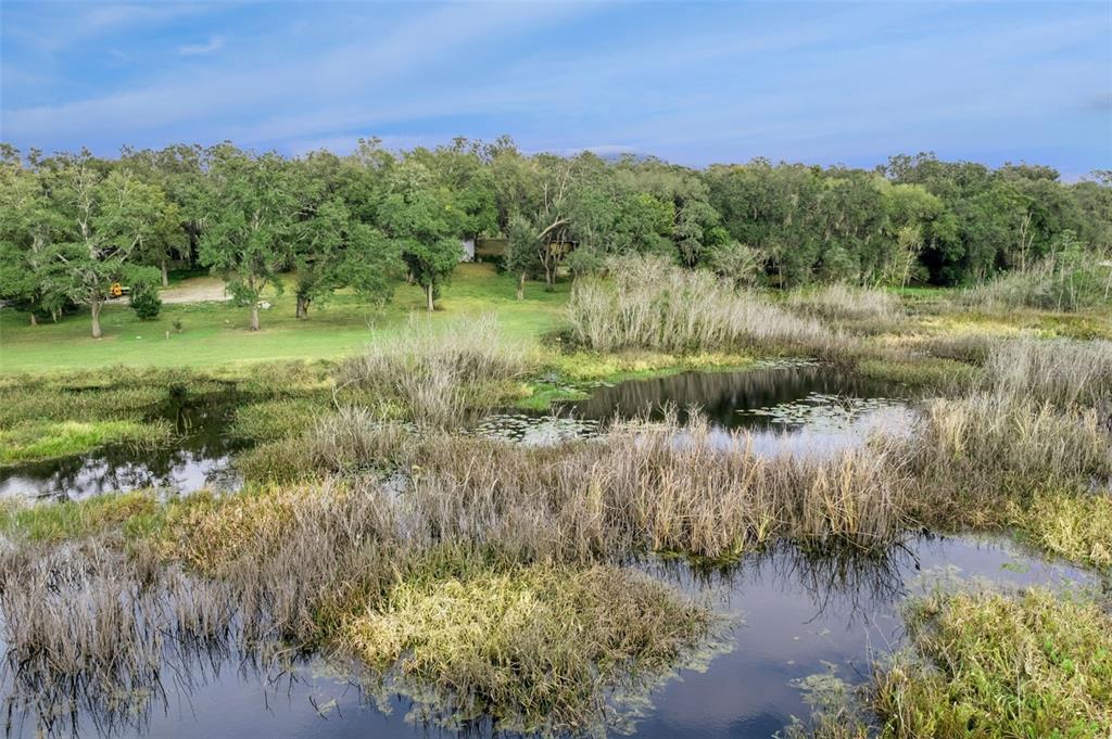 30911 Vista View Mount Dora, FL 32757 - Photo 7 of 54 a view of a lake with a yard and mountain view
