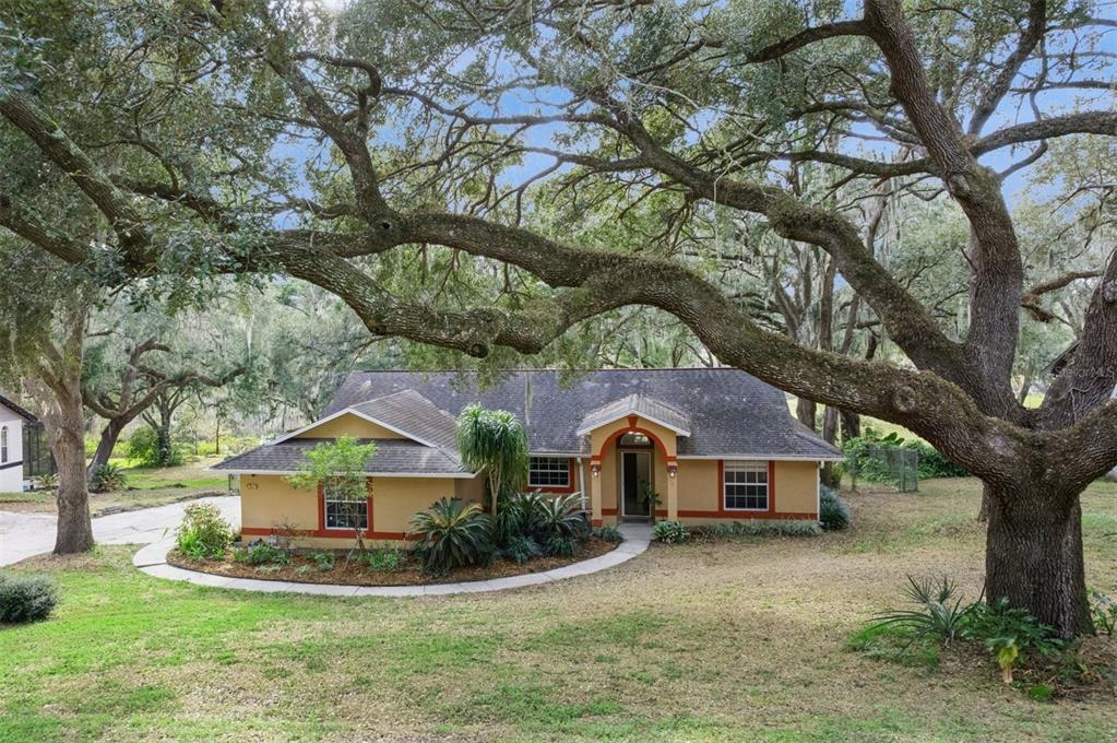 30911 Vista View Mount Dora, FL 32757 - Photo 9 of 54 a front view of a house with a yard