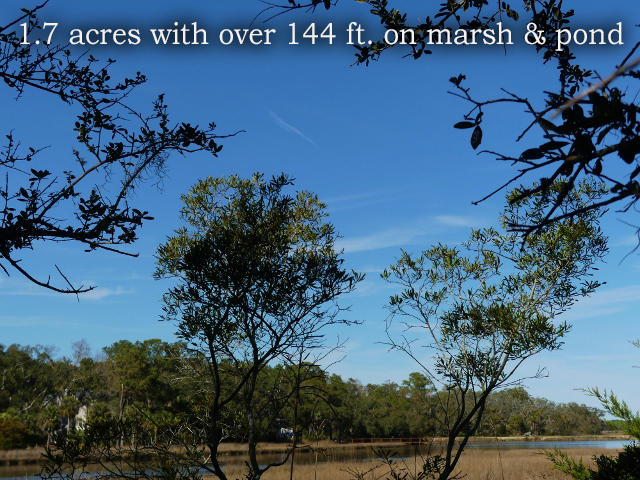 1-db Cotton Bay Road Edisto Island, SC 29438 - Photo 1 of 30 1-Ad pic main