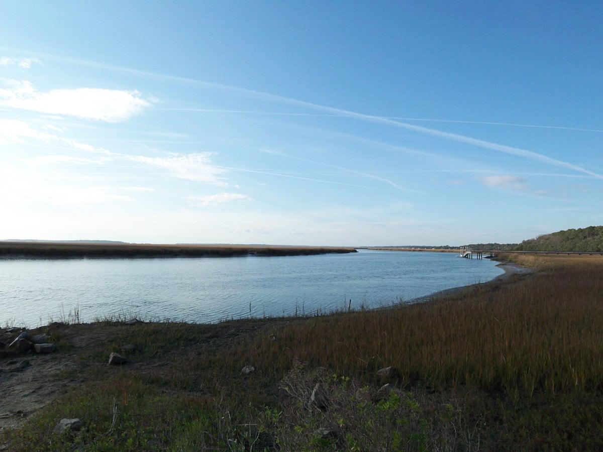 1-db Cotton Bay Road Edisto Island, SC 29438 - Photo 23 of 30 24