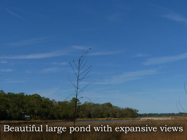 1-db Cotton Bay Road Edisto Island, SC 29438 - Photo 4 of 30 4-ad pic 4