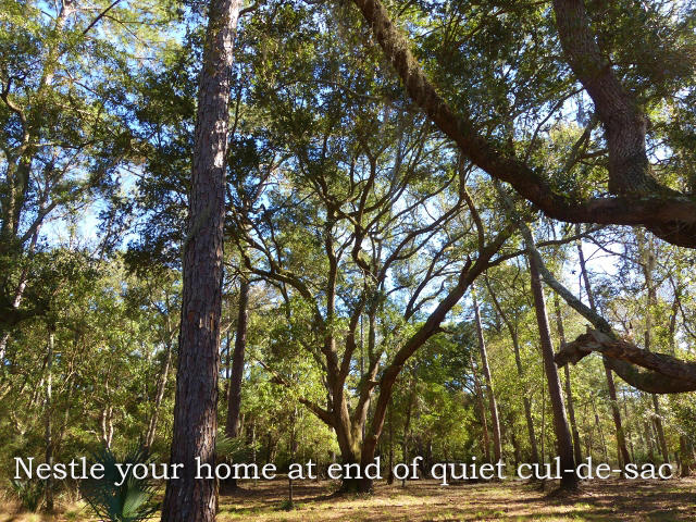 1-db Cotton Bay Road Edisto Island, SC 29438 - Photo 8 of 30 8