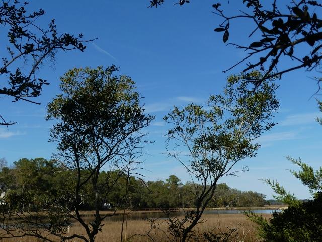 1-db Cotton Bay Road Edisto Island, SC 29438 - Photo 9 of 30 10
