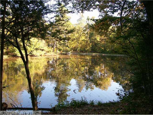 2523 Covington Loop Graham, NC 27253 - Photo 4 of 15 Other. Neighborhood Fishing Pond
