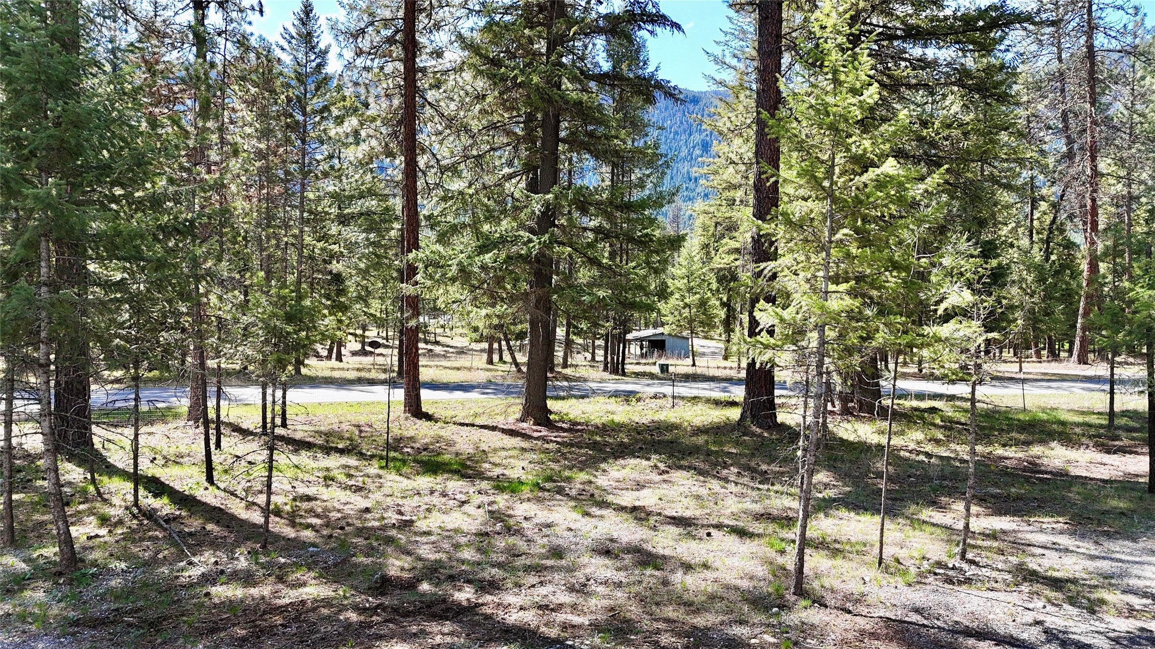 421 Cherry Creek Road Thompson Falls, MT 59873 - Photo 58 of 75 The yard