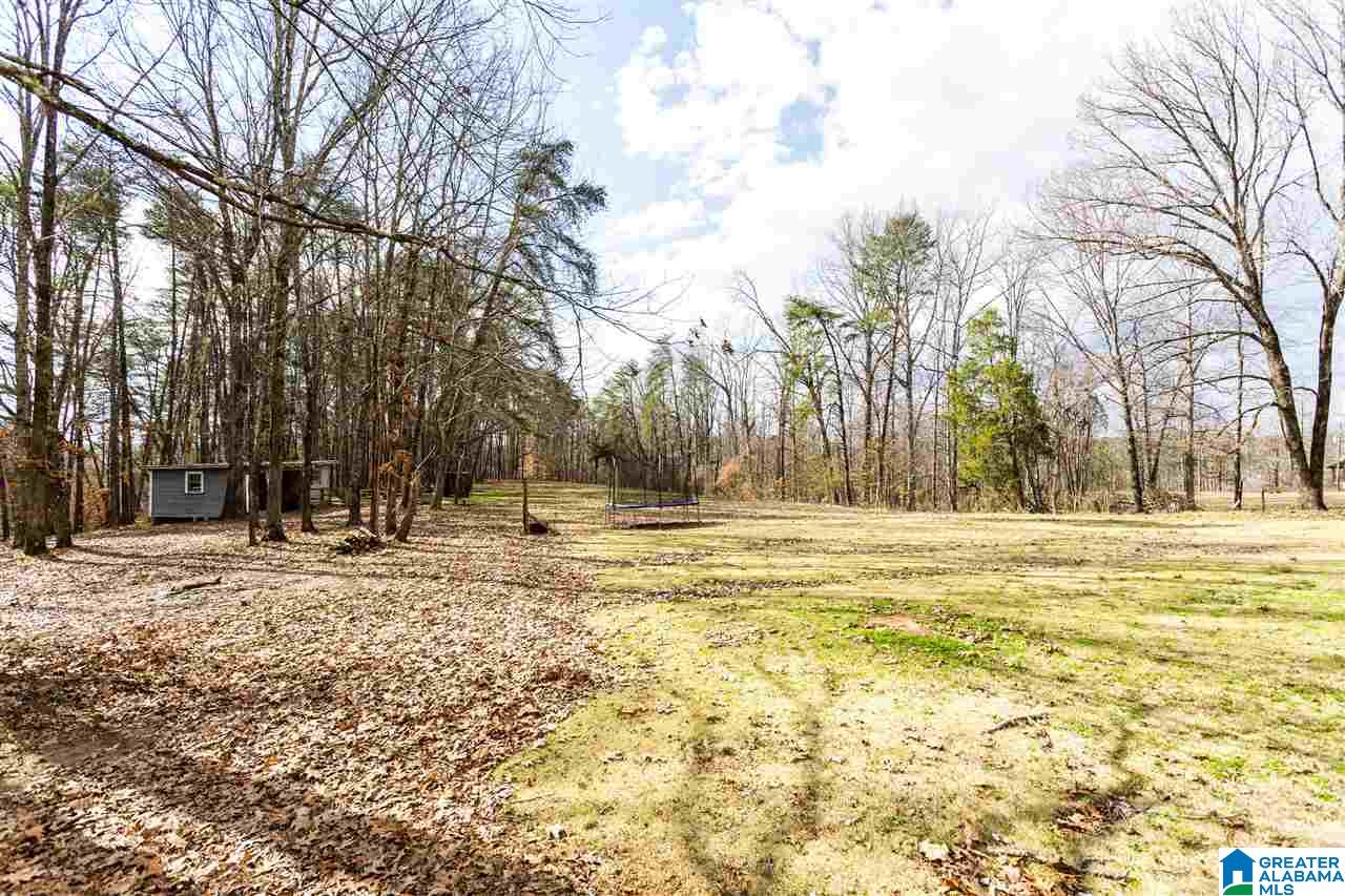 6287 Sunset Drive Mulga, AL 35118 - Photo 5 of 28