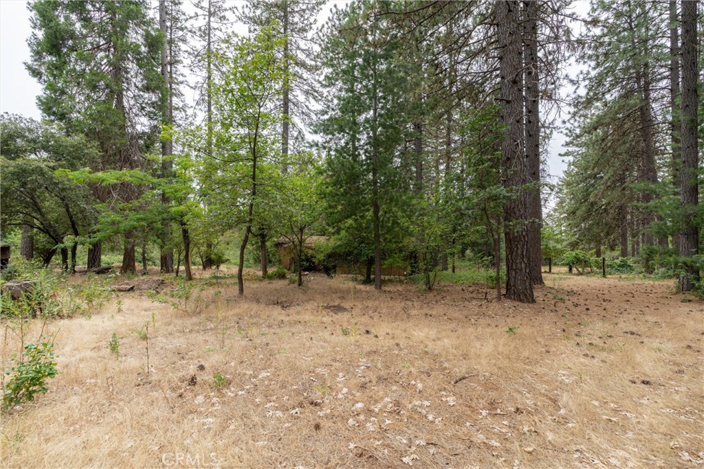 15184 Siwini Road Forest Ranch, CA 95942 - Photo 68 of 75