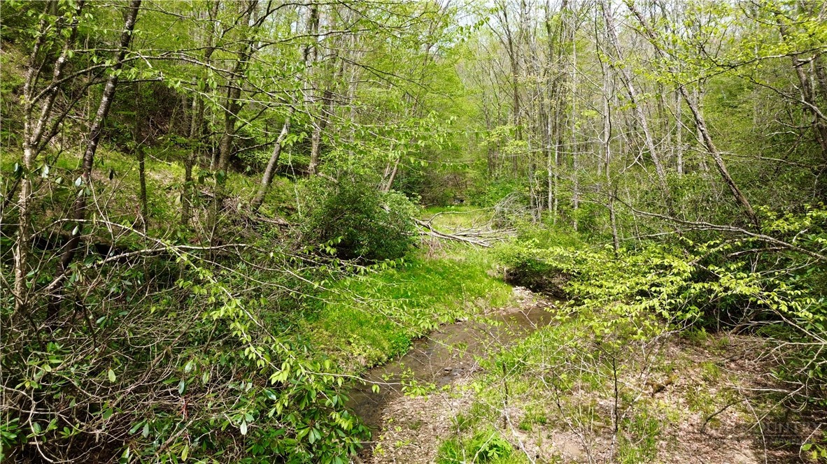 Greer Town Road Lansing, NC 28643 - Photo 2 of 7