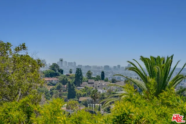 a view of a plant in a garden