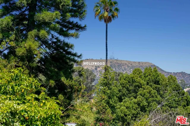 a flower in a garden