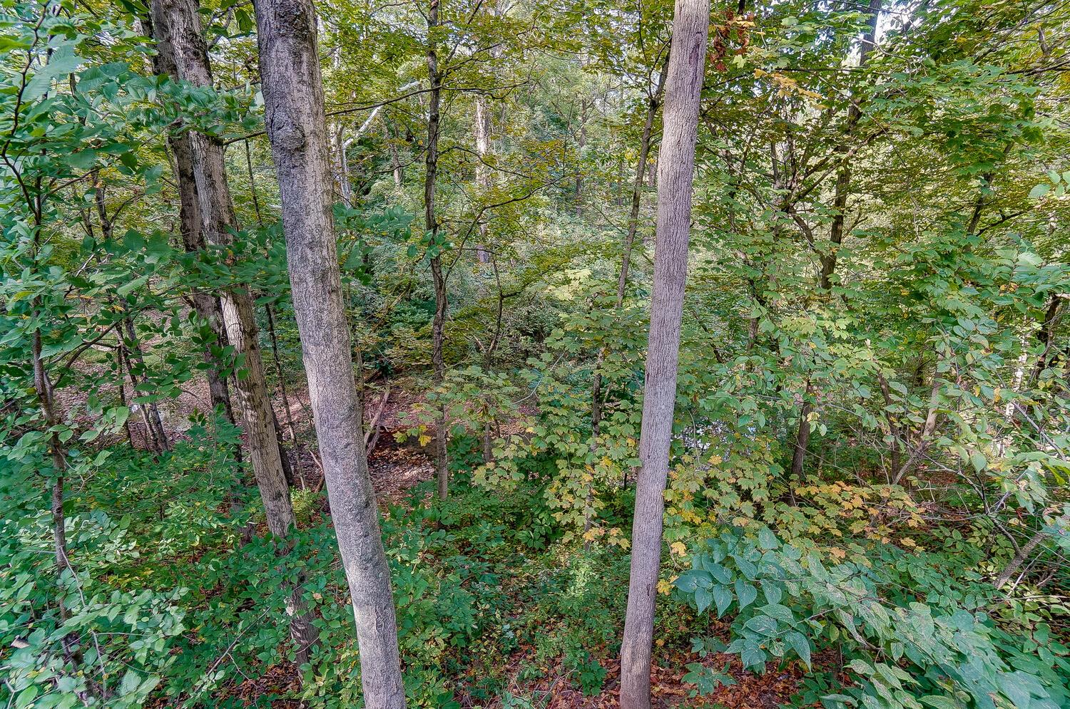 3651 Patrick Road Sunbury, OH 43074 - Photo 46 of 74 View from Deck