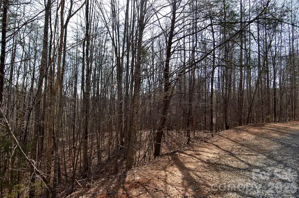$40,000 | 0 Sundance Drive, Unit 3IV, Nebo, NC 28761