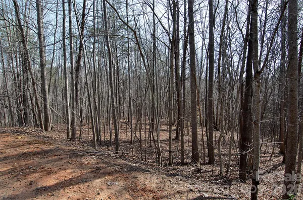 $40,000 | 0 Sundance Drive, Unit 3IV, Nebo, NC 28761