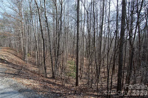 $40,000 | 0 Sundance Drive, Unit 3IV, Nebo, NC 28761