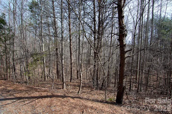 $40,000 | 0 Sundance Drive, Unit 3IV, Nebo, NC 28761