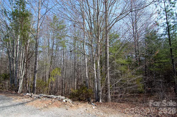 $40,000 | 0 Sundance Drive, Unit 3IV, Nebo, NC 28761