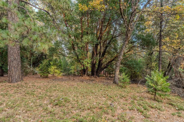 a view of an outdoor space and trees