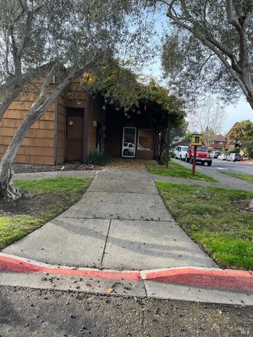 a view of a park with large trees