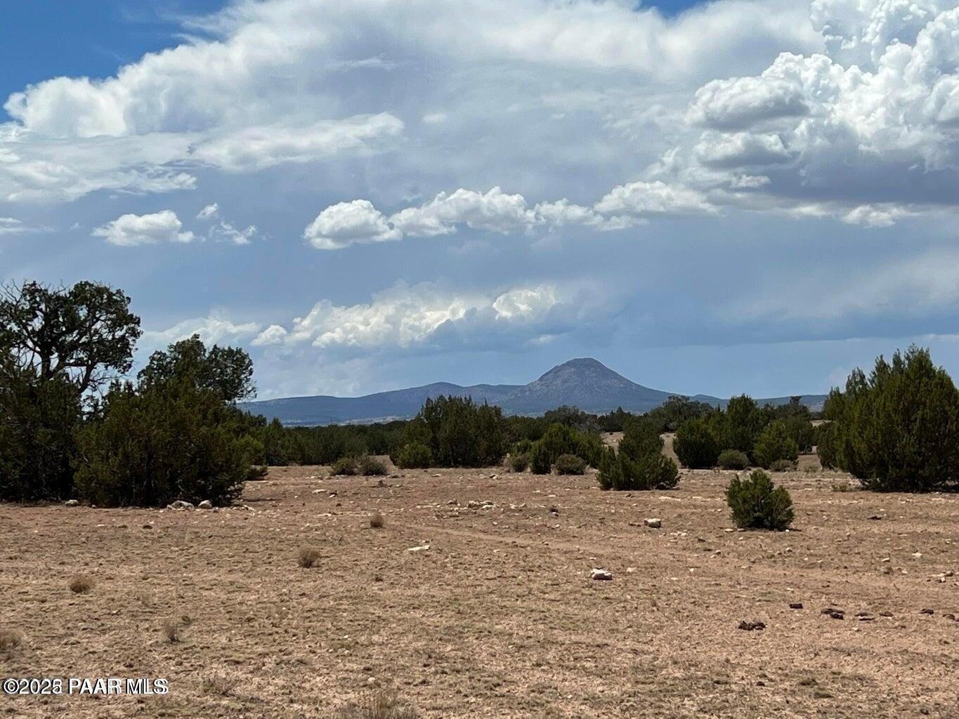 10 Northwest Chain Ranch Road Ash Fork, AZ 86320 - Photo 5 of 6 a view of a dry yard covered in snow