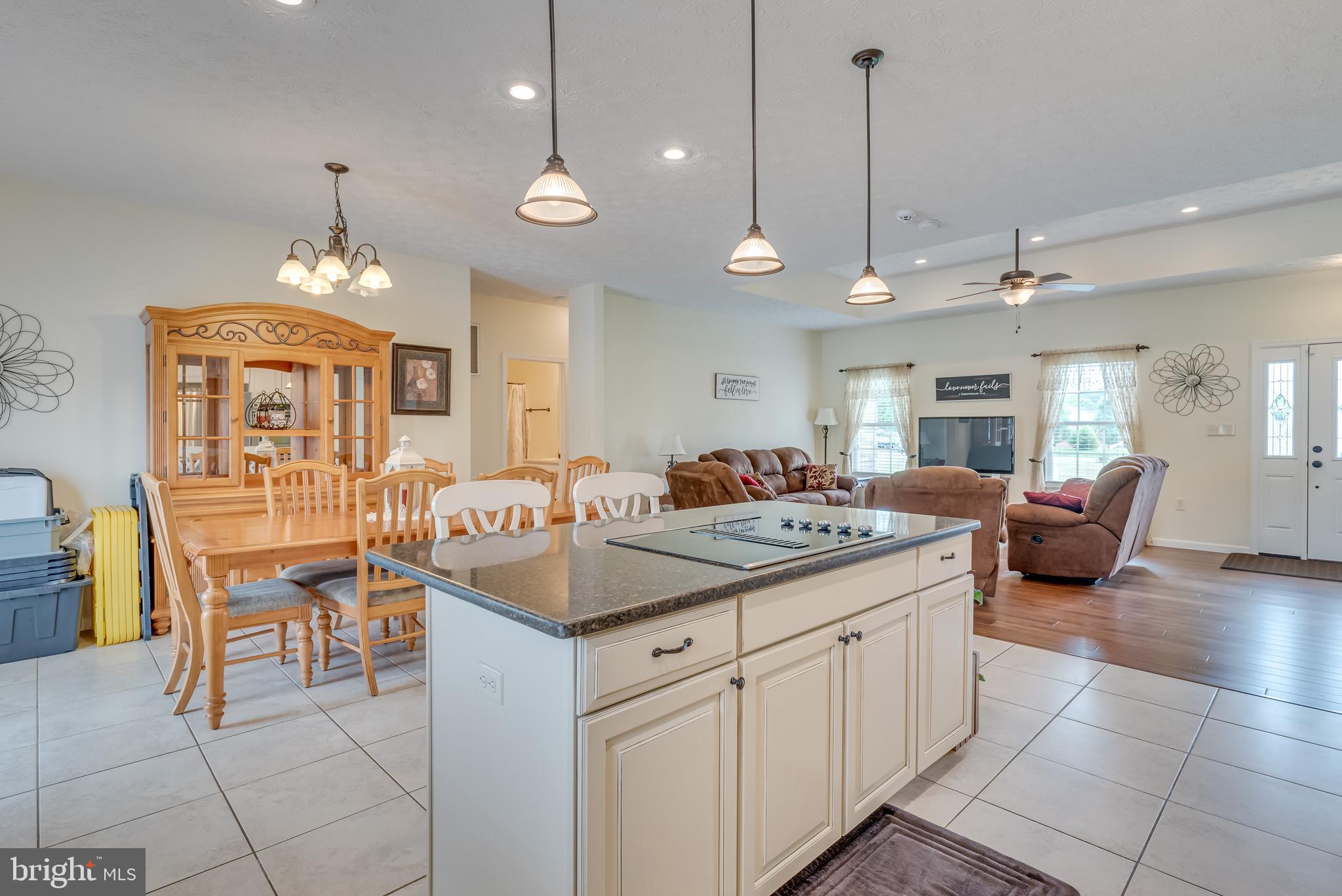 61 Torytown Road Bunker Hill, WV 25413 - Photo 16 of 57 Features an electric cooktop w/ extra prep space