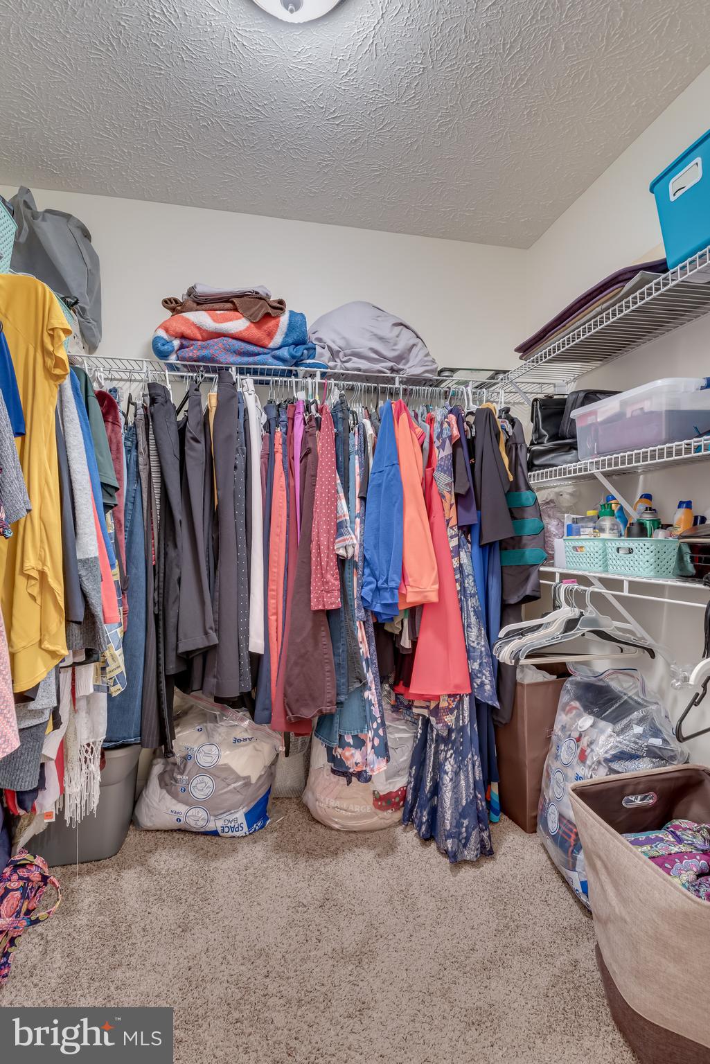 61 Torytown Road Bunker Hill, WV 25413 - Photo 30 of 57 closets! Amazing space for storing your clothing