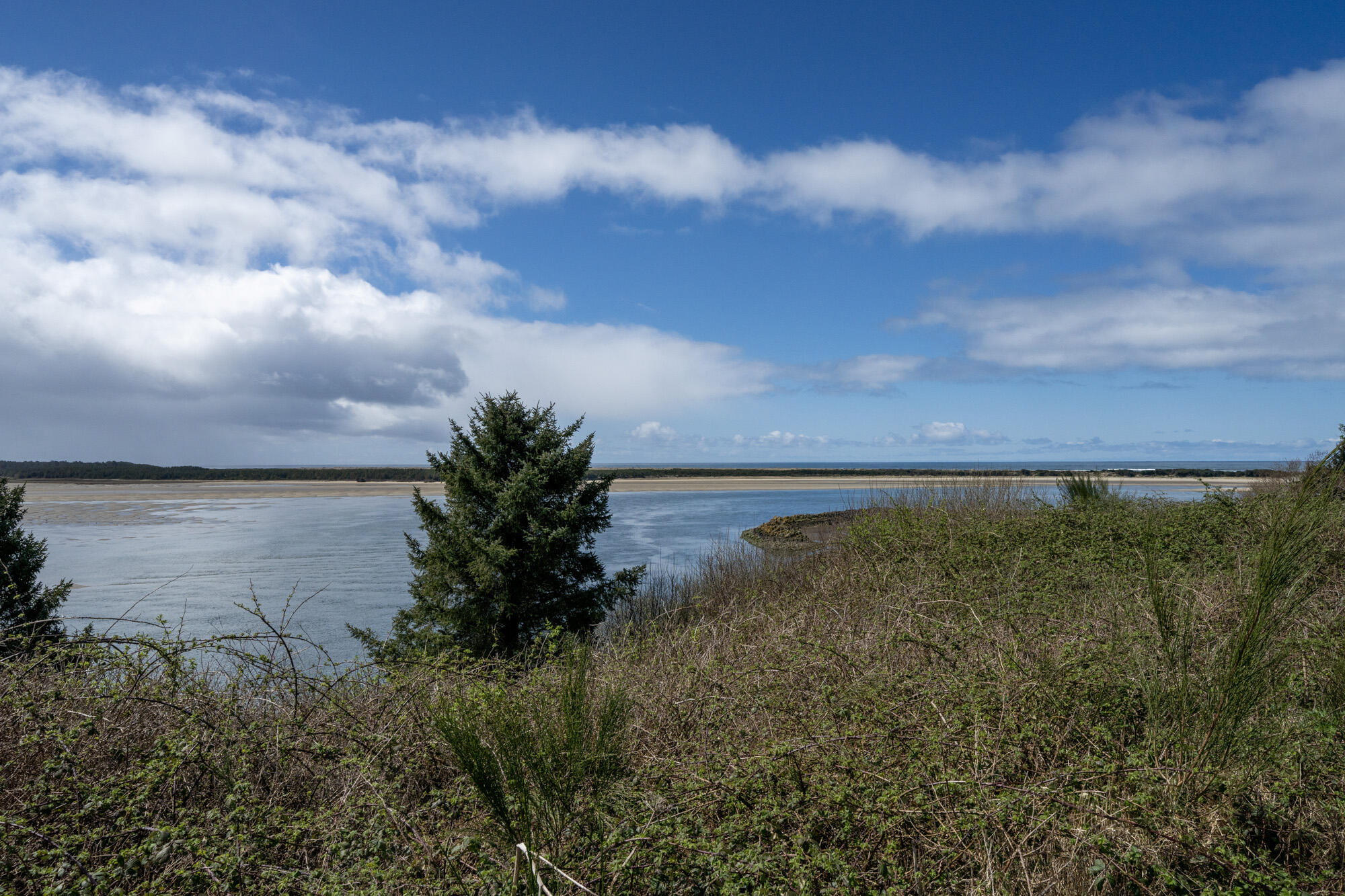 Lot 100 Netarts Bay Road Tillamook, OR 97141 - Photo 18 of 30 View