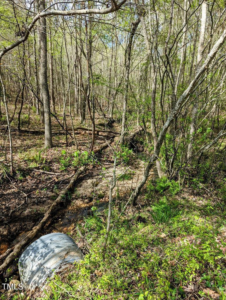 155 Esnon Road Chase City, VA 23924 - Photo 29 of 35 a view of a yard with large trees