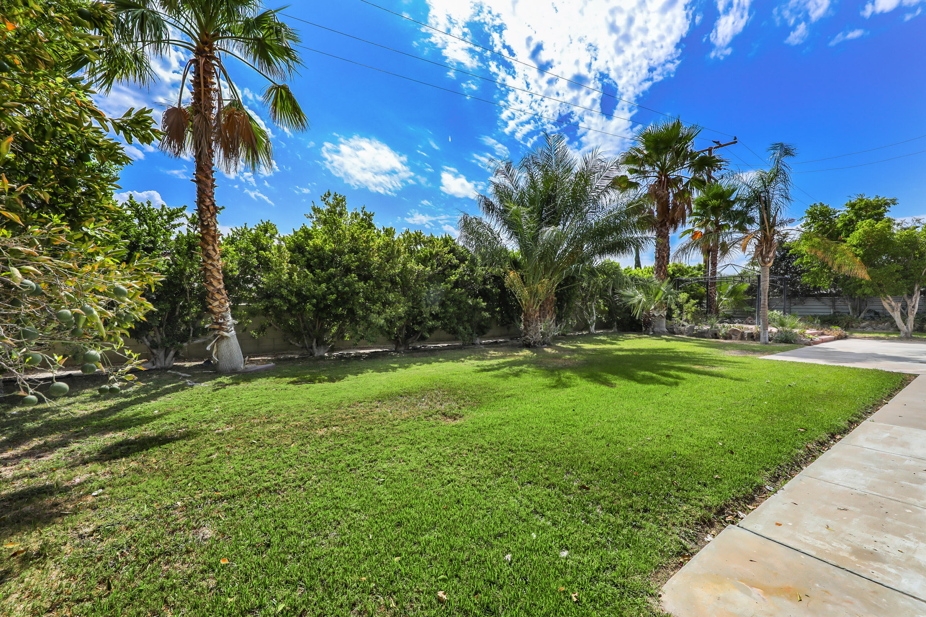 3152 North Starr Road Palm Springs, CA 92262 - Photo 17 of 28 StarrN3152#15