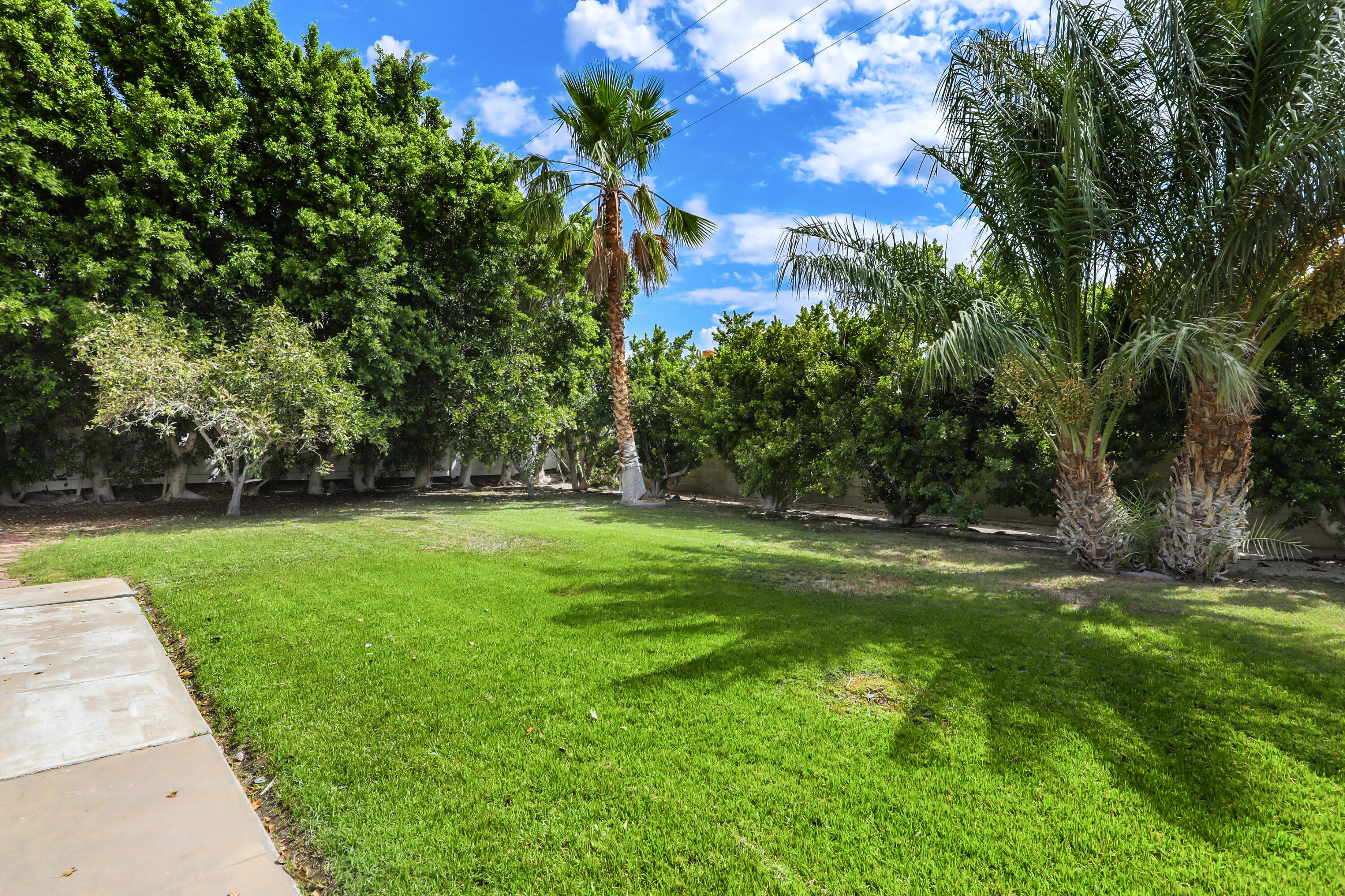 3152 North Starr Road Palm Springs, CA 92262 - Photo 21 of 28 StarrN3152#18