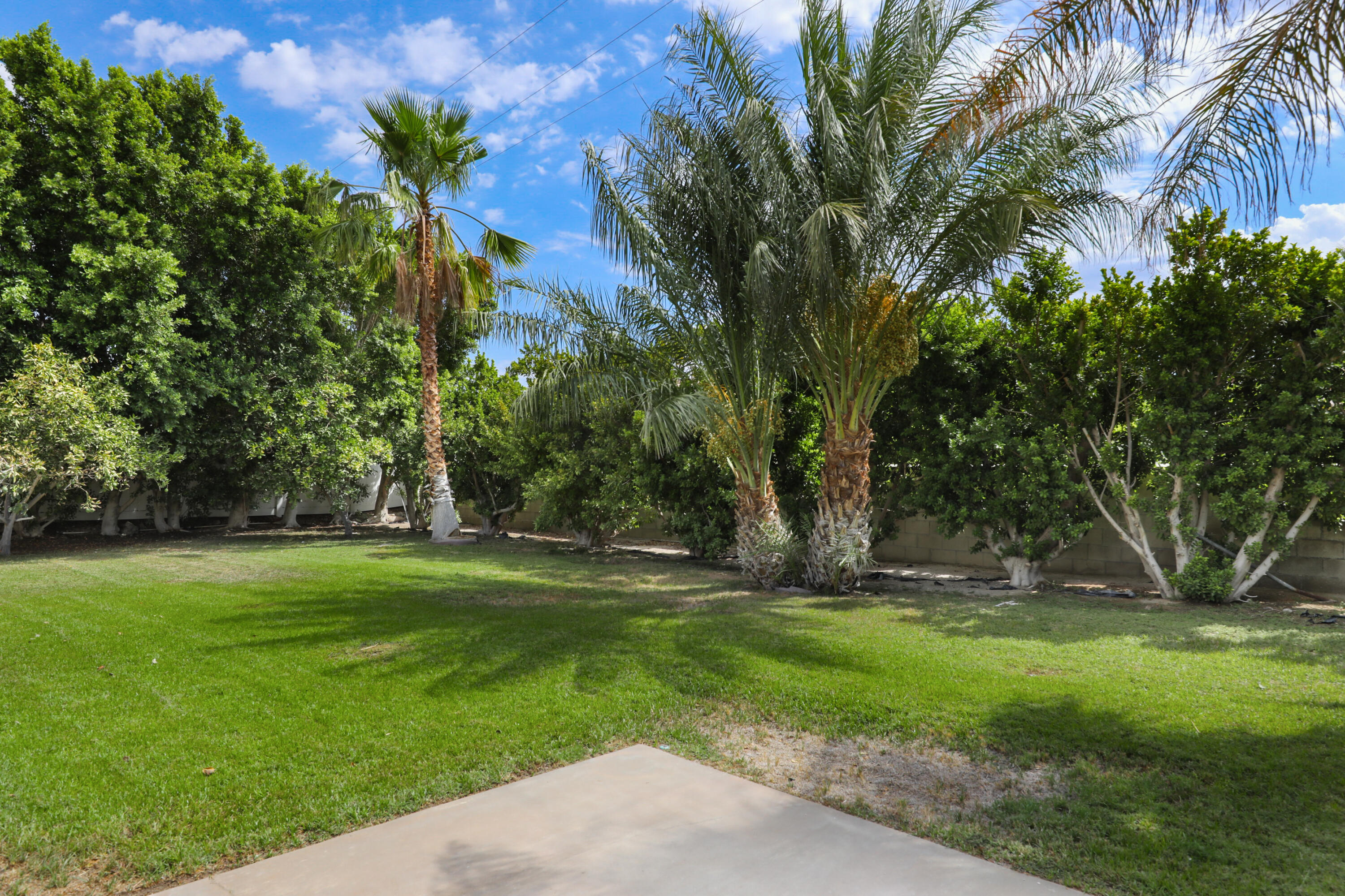 3152 North Starr Road Palm Springs, CA 92262 - Photo 23 of 28 StarrN3152#20
