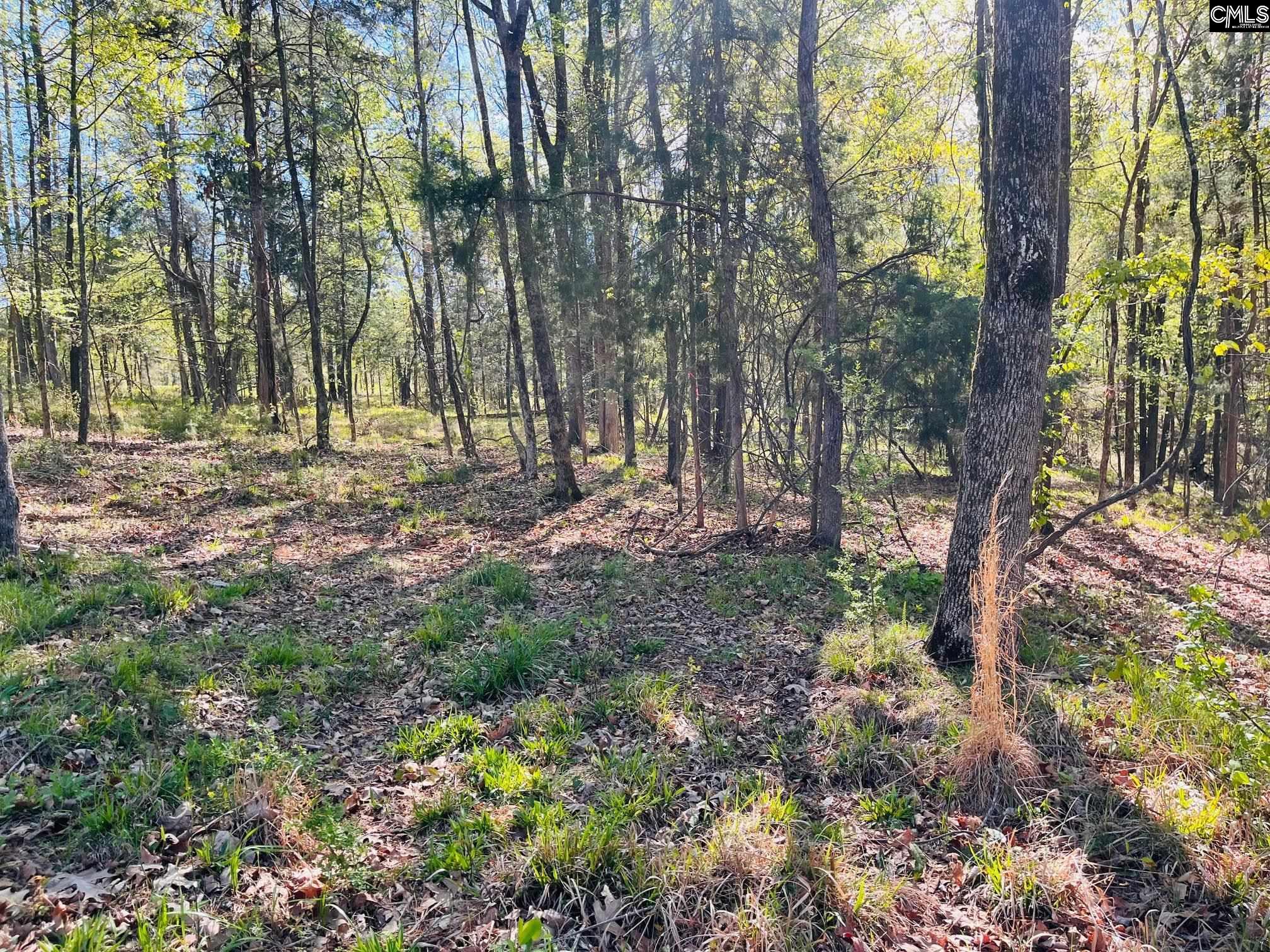 0 Lands End Lane Prosperity, SC 29127 - Photo 12 of 20