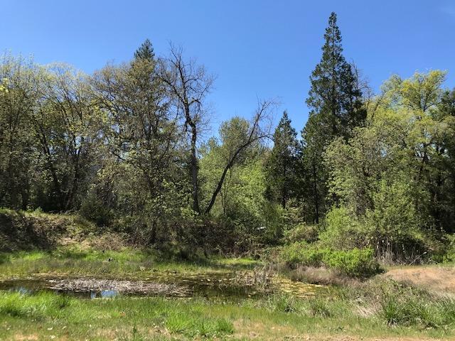 5477 Pleasant Creek Road Rogue River, OR 97537 - Photo 18 of 30 IMG_0288