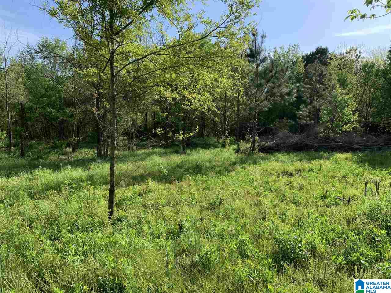 0 Highway 11 Springville Al, Unit 30 Springville, AL 35146 - Photo 2 of 6