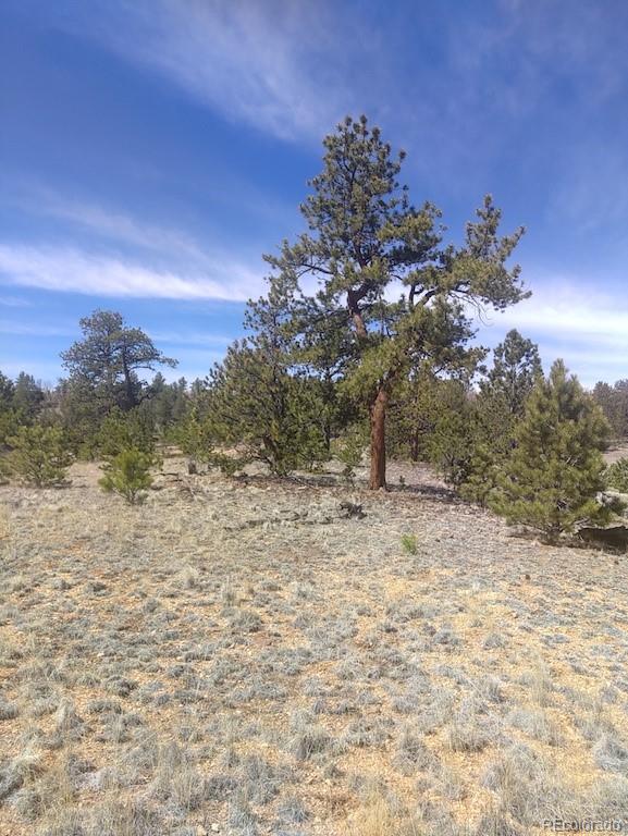 Running Bear Road Hartsel, CO 80449 - Photo 1 of 13 Gallery Image 1
