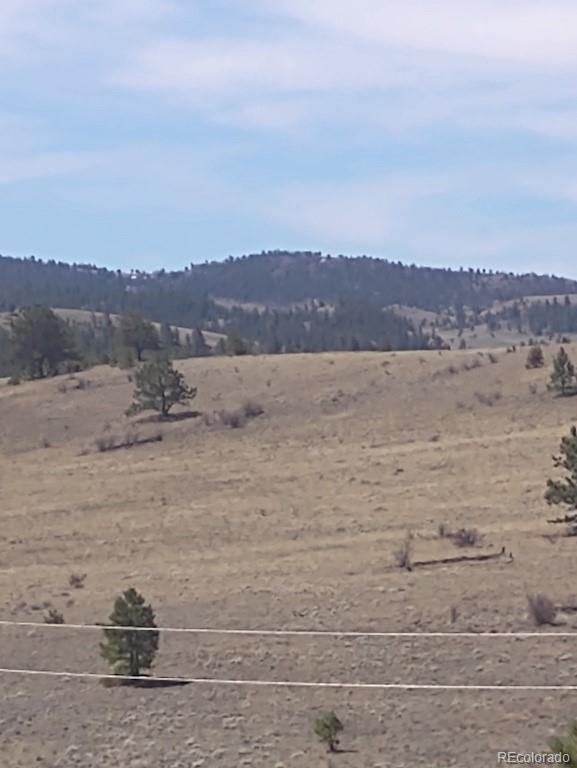 Running Bear Road Hartsel, CO 80449 - Photo 12 of 13 Gallery Image 12
