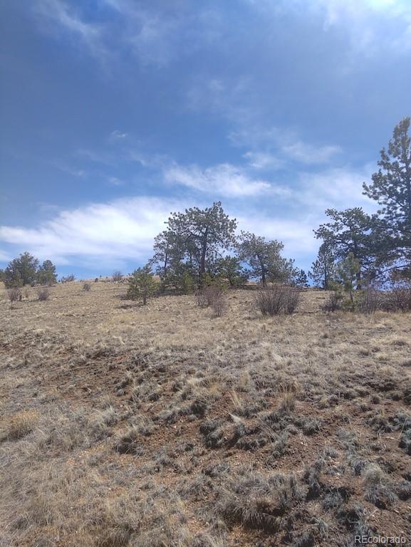 Running Bear Road Hartsel, CO 80449 - Photo 2 of 13 Gallery Image 2
