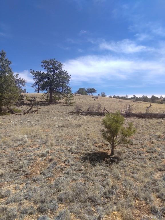 Running Bear Road Hartsel, CO 80449 - Photo 3 of 13 Gallery Image 3