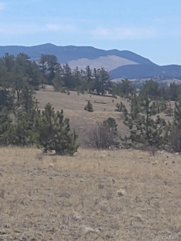 Running Bear Road Hartsel, CO 80449 - Photo 6 of 13 Gallery Image 6