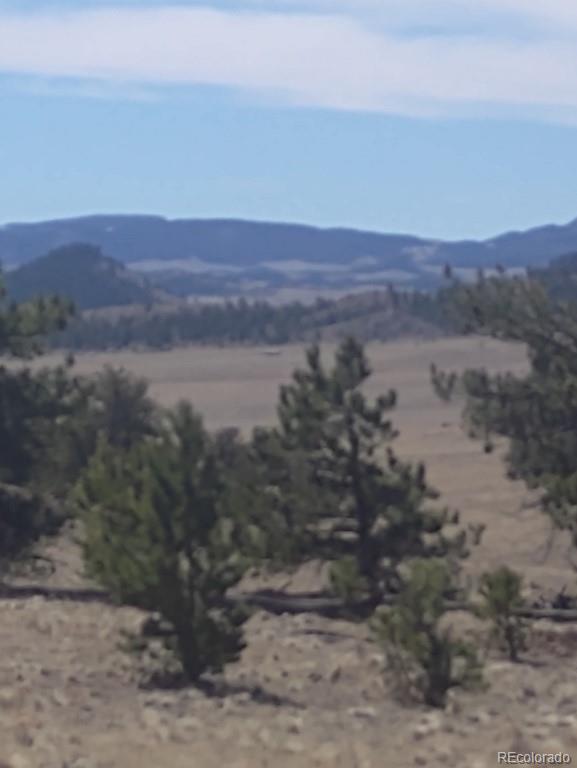 Running Bear Road Hartsel, CO 80449 - Photo 7 of 13 Gallery Image 7