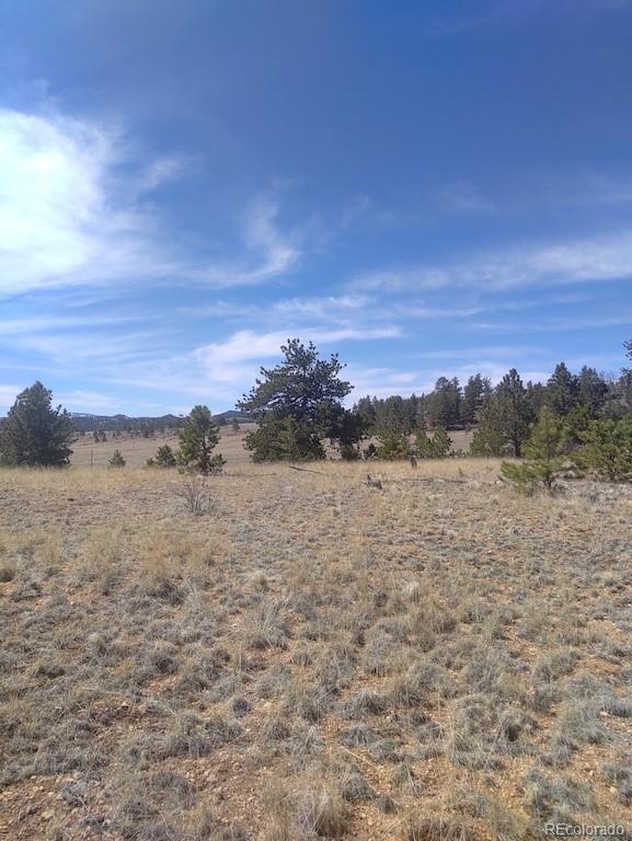 Running Bear Road Hartsel, CO 80449 - Photo 8 of 13 Gallery Image 8
