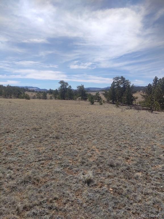 Running Bear Road Hartsel, CO 80449 - Photo 10 of 13 Gallery Image 10