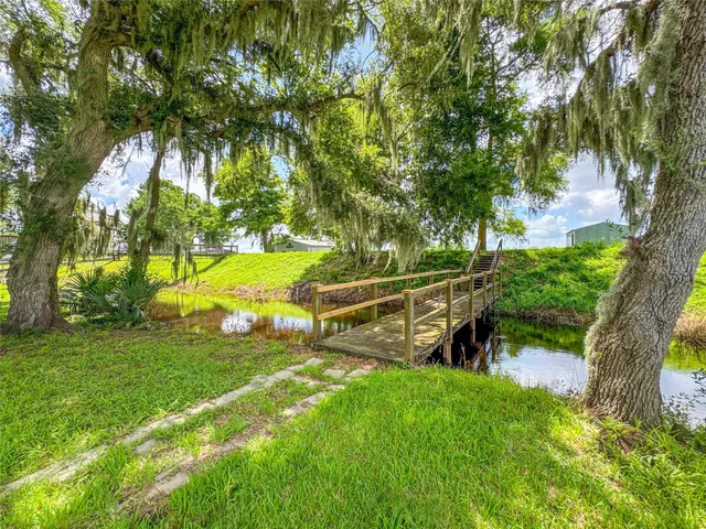 a view of a park with large trees