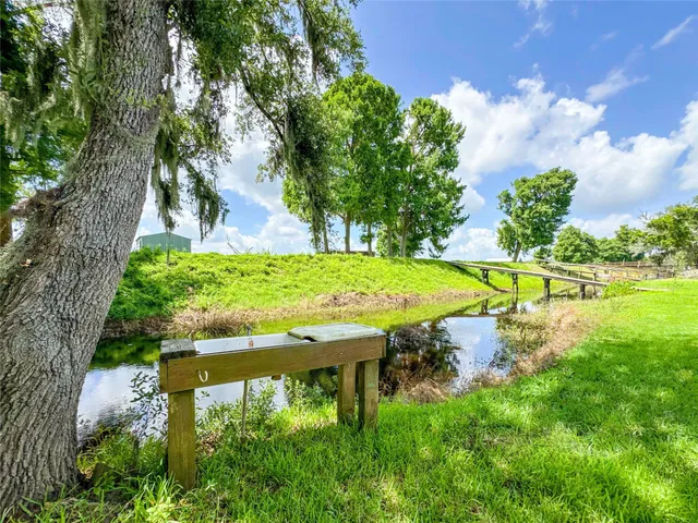 a view of a garden with a tree