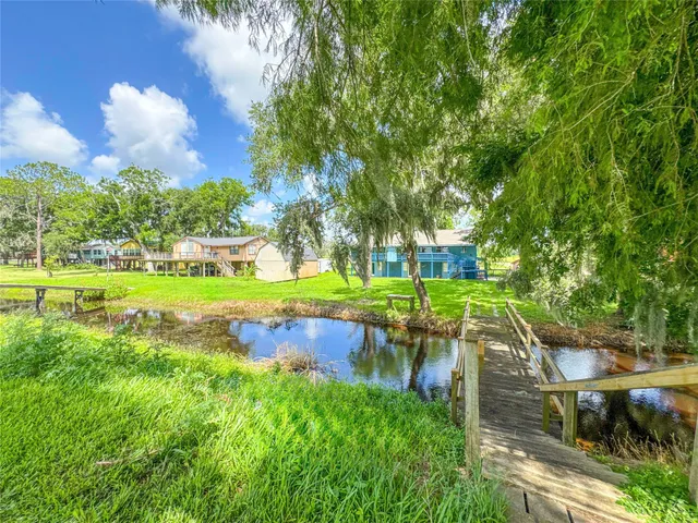 a view of a park with large trees