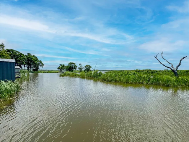 a view of a lake in middle of forest