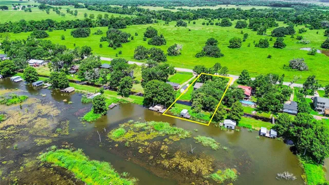 a view of a garden with a flower