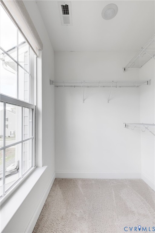 421 Randolph Vw Drive Midlothian, VA 23114 - Photo 26 of 39